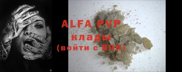 шишки Вяземский