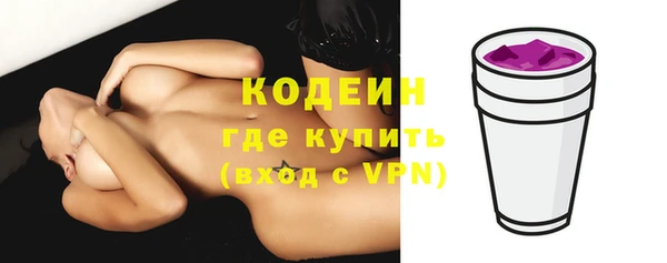 шишки Вяземский