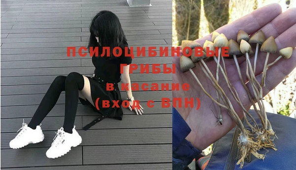 героин Тавда