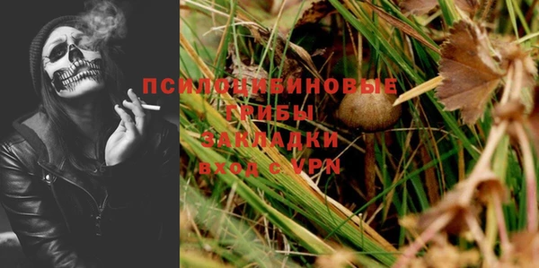 ГАЛЛЮЦИНОГЕННЫЕ ГРИБЫ Володарск